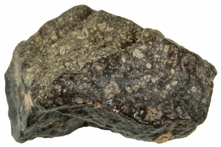 Abadla CM Chondrite Meteorite ( g) - Algeria #313035